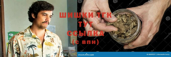 стаф Касимов