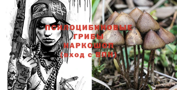 марки nbome Каменногорск