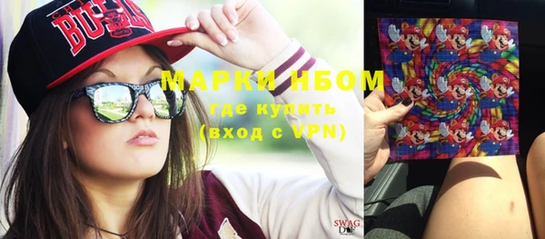 стаф Касимов