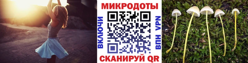 Псилоцибиновые грибы ЛСД  дарнет шоп  Одинцово 