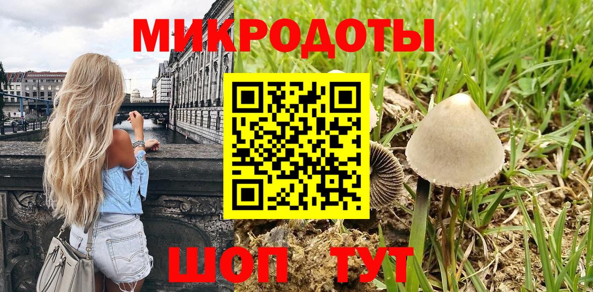 Одинцово  Псилоцибиновые грибы Psilocybe  Вход с VPN 