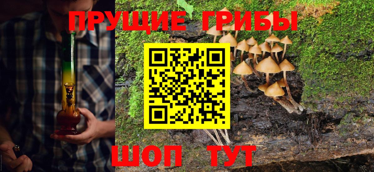 Галлюциногенные грибы MAGIC MUSHROOMS Одинцово
